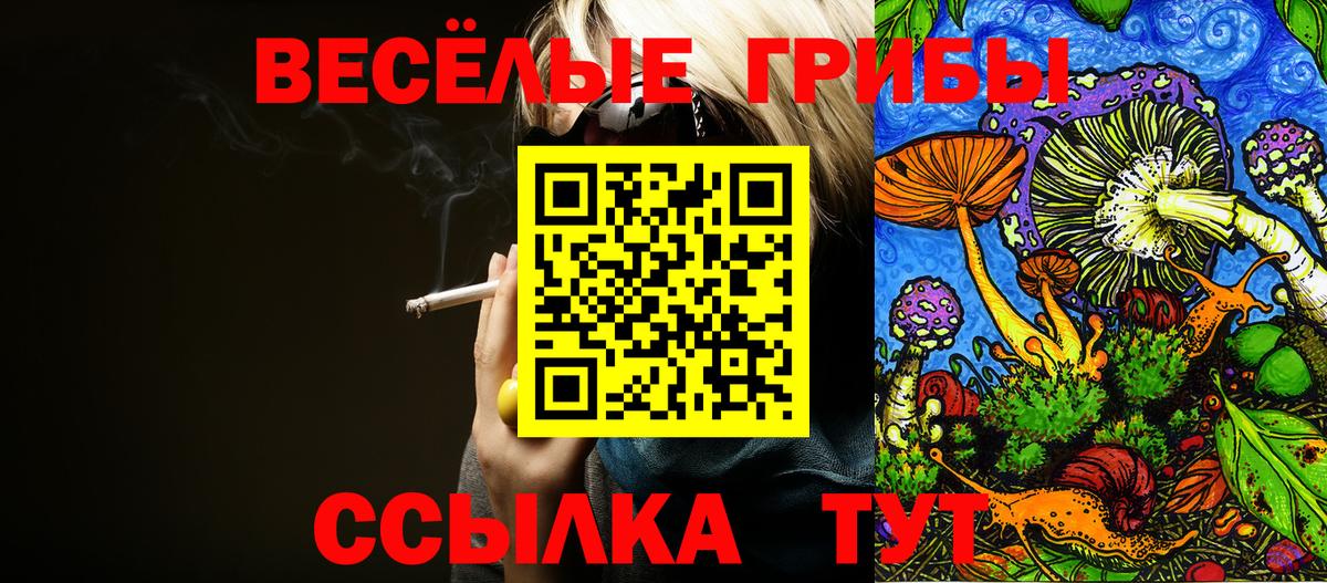 Ачхой-Мартан  Псилоцибиновые грибы Psilocybe  купить наркоту  Вход с VPN 
